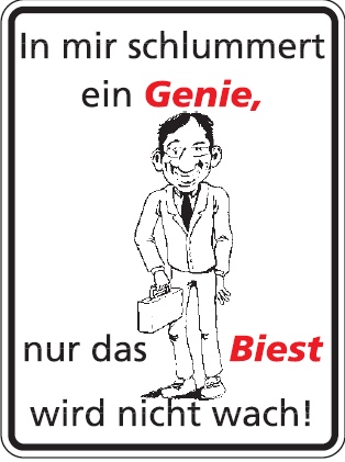 alu-in-mir Aluminium Schild In mir schlummert ein Genie Alu Humor Metallschild