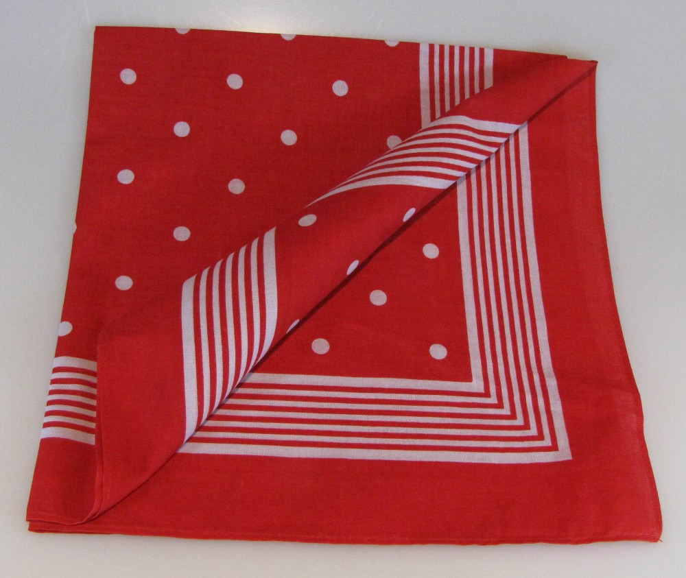 Halstuch grosse Punkte rot klein Halstuch grosse Punkte rot klein