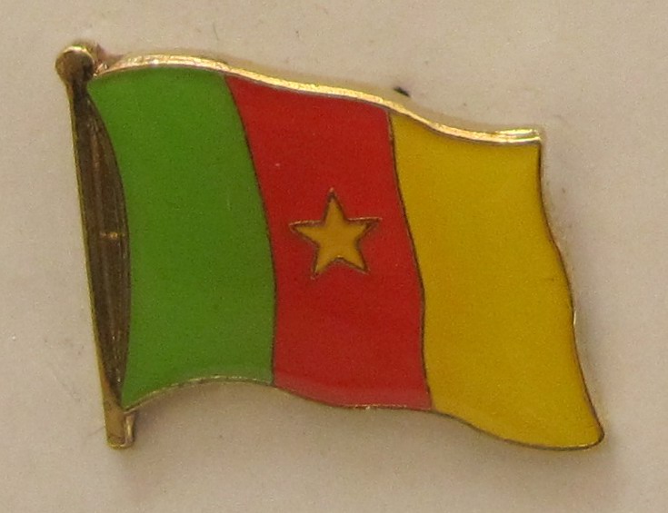 Kamerun Pin Anstecker Flagge Fahne Nationalflagge