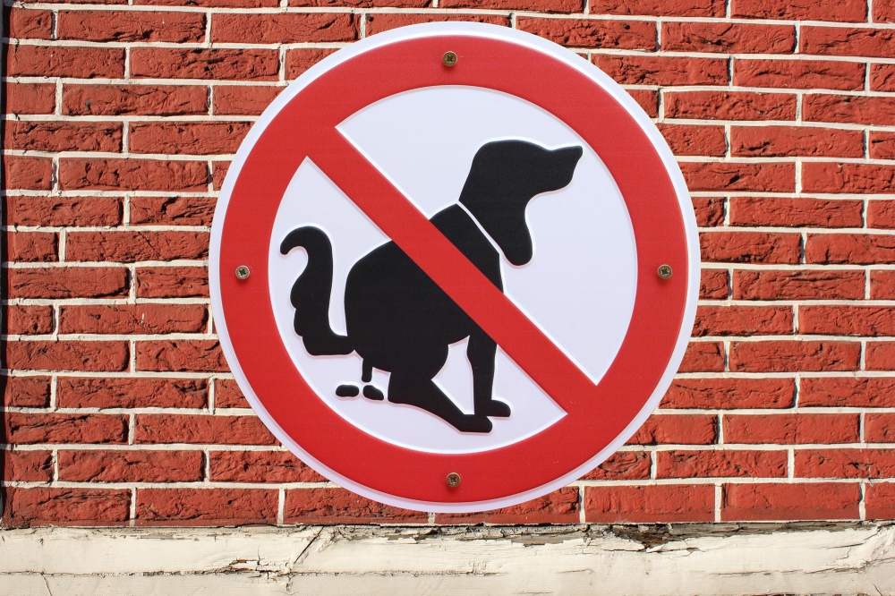 aluschild_hundeklo_mittig_2000