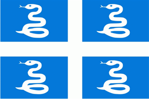 Flagge Fahne : Martinique Matinik Nationalflagge Nationalfahne