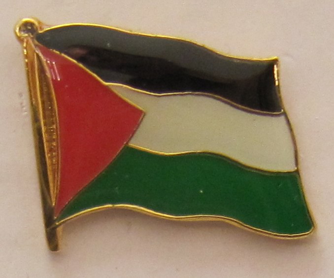 pin_flagge_palaestina Palästina Pin Anstecker Flagge Fahne