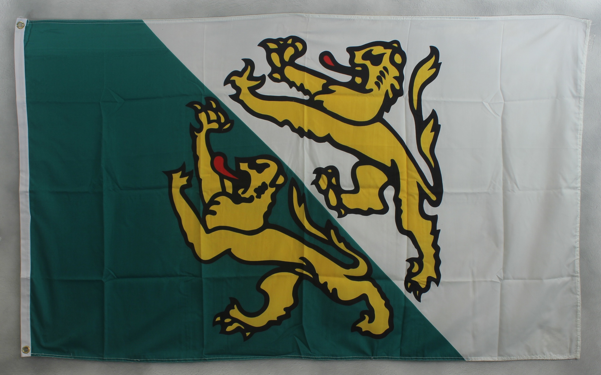 flagge-thurgau-schweiz