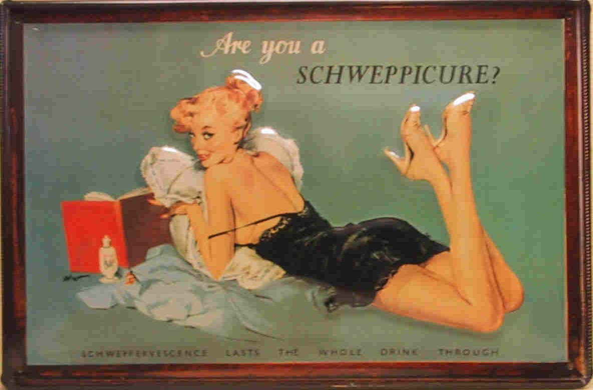 Blechschild Schweppes Schweppicure Tonic Water Frau retro Schild Werbeschild