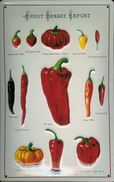 Blechschild Ernst Benary Erfurt Pepperoni Chili Gemüse Schild Werbeschild