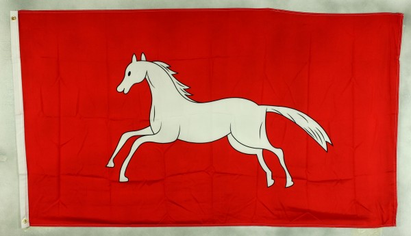 Flagge Fahne Hannover Pferd Stadtflagge