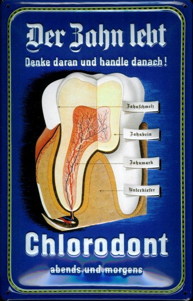 Blechschild Chlorodont der Zahn lebt Zahnpasta Grafik DDR VEB Leowerke Schild retro Werbeschild Osta