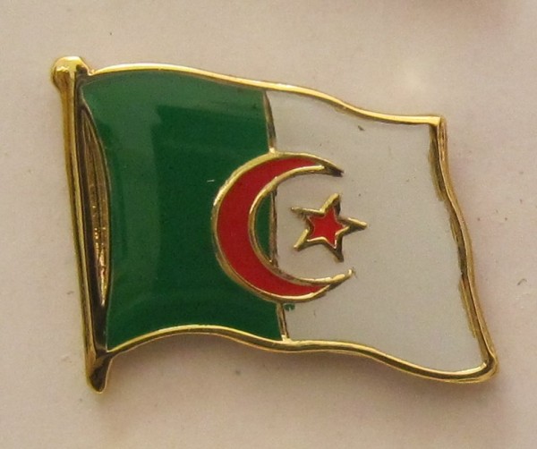 Algerien Pin Anstecker Flagge Fahne Nationalflagge