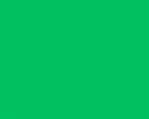 Flagge Fahne : Grüne Flagge uni grün einfarbig