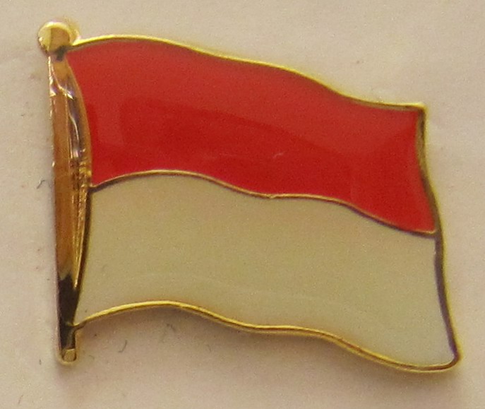 Slowenien rechteckig Pin Anstecker Anstecknadel Flaggenpin Button Badge Pins NEU 