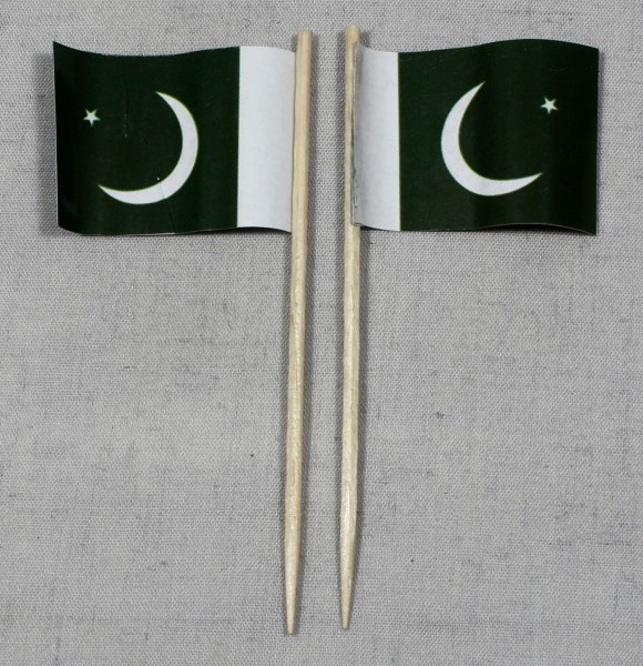 Party-Picker Flagge Pakistan Papierfähnchen in Spitzenqualität 50 Stück Beutel