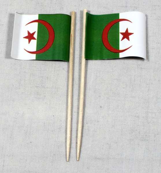 Party-Picker Flagge Algerien Papierfähnchen in Spitzenqualität 50 Stück Beutel