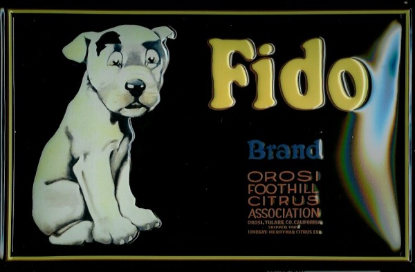 Blechschild Fido Hund Citrus Schild Nostalgieschild Hundefutter Werbung